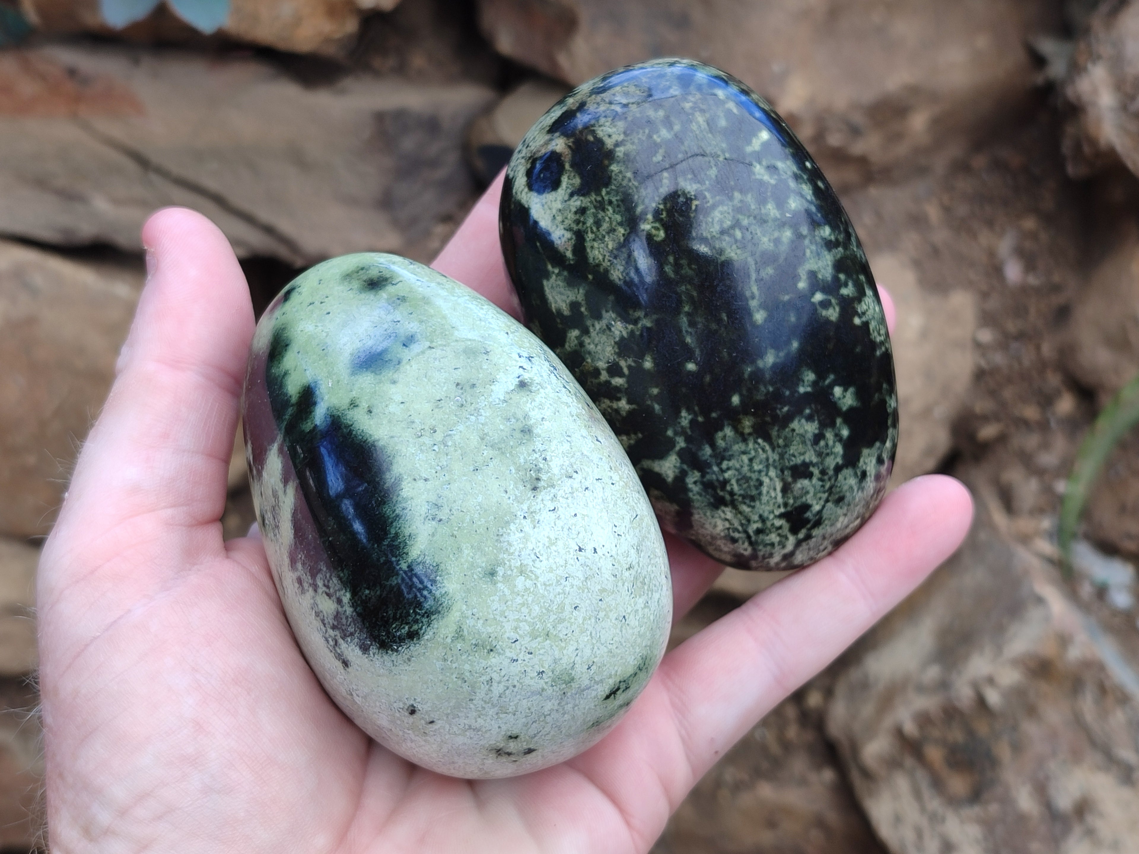 Polished Leopard Stone Free Forms x 6 From Zimbabwe - Toprock Gemstones and Minerals 
