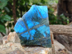 Polished on One Side Labradorite Slices x 12 From Tulear, Madagascar - Toprock Gemstones and Minerals 