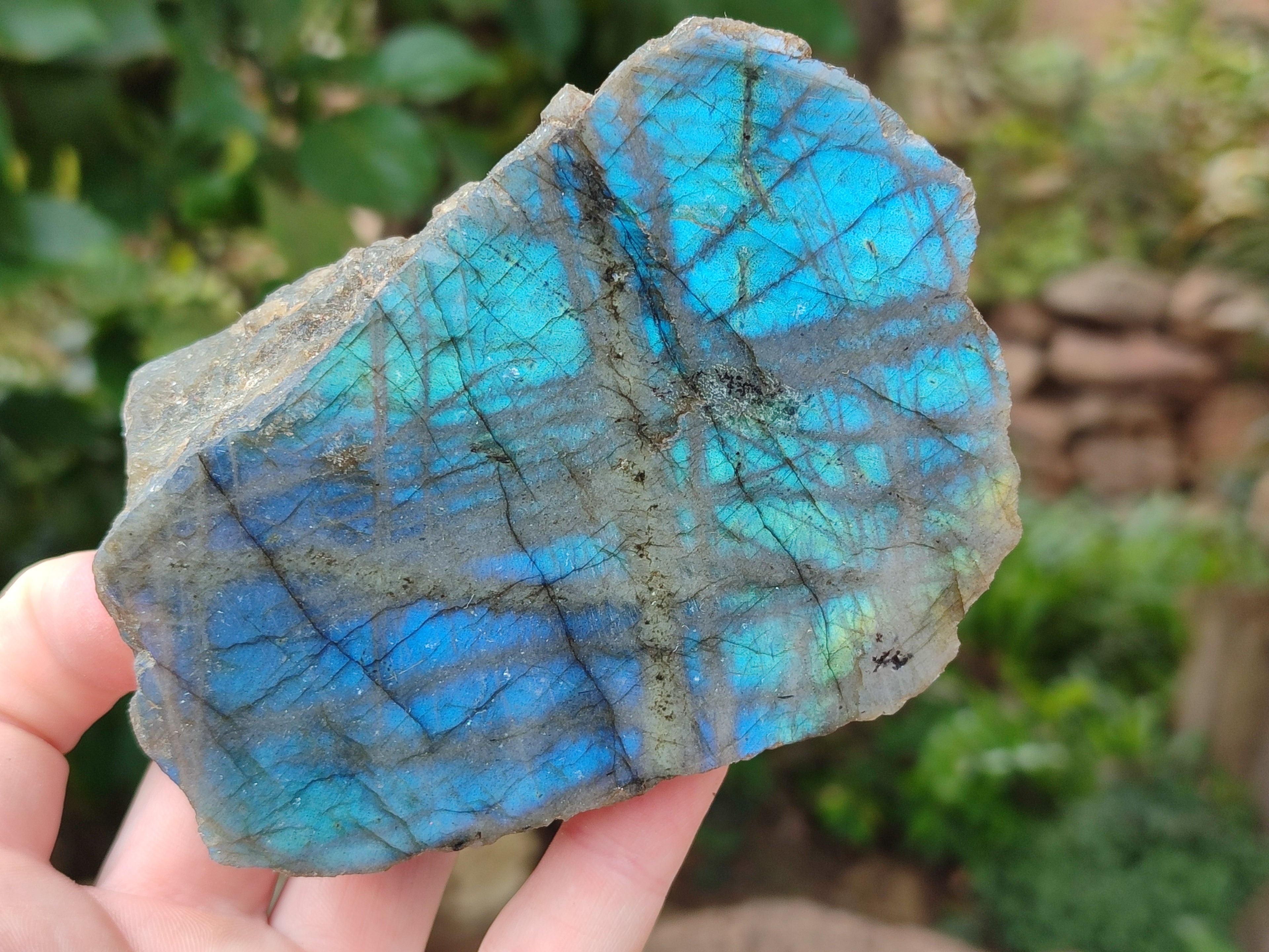 Polished on One Side Labradorite Slices x 12 From Tulear, Madagascar - Toprock Gemstones and Minerals 