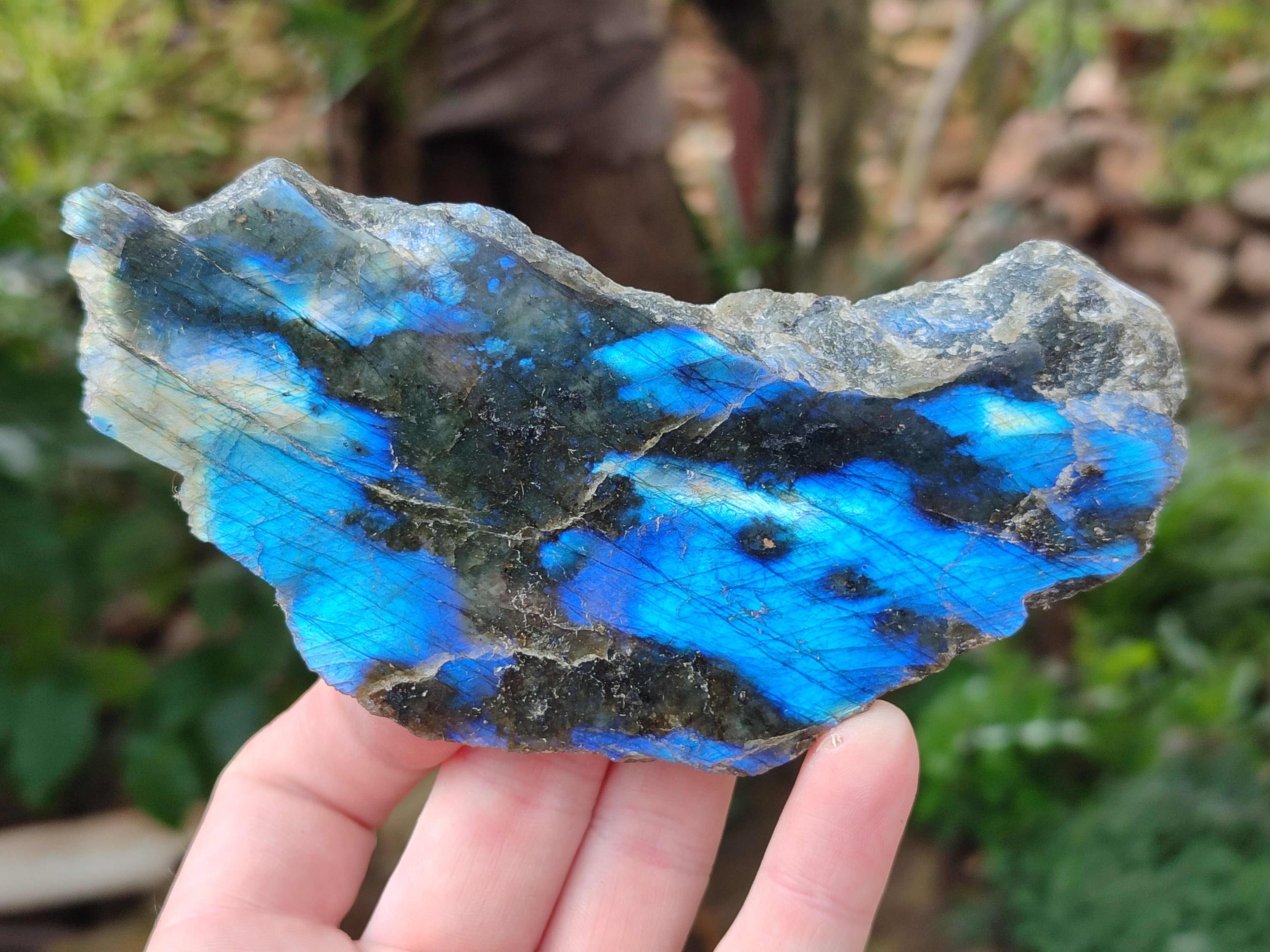 Polished on One Side Labradorite Slices x 12 From Tulear, Madagascar - Toprock Gemstones and Minerals 