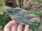 Polished on One Side Labradorite Slices x 12 From Tulear, Madagascar - Toprock Gemstones and Minerals 