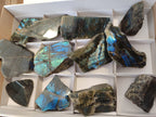 Polished on One Side Labradorite Slices x 12 From Tulear, Madagascar - Toprock Gemstones and Minerals 