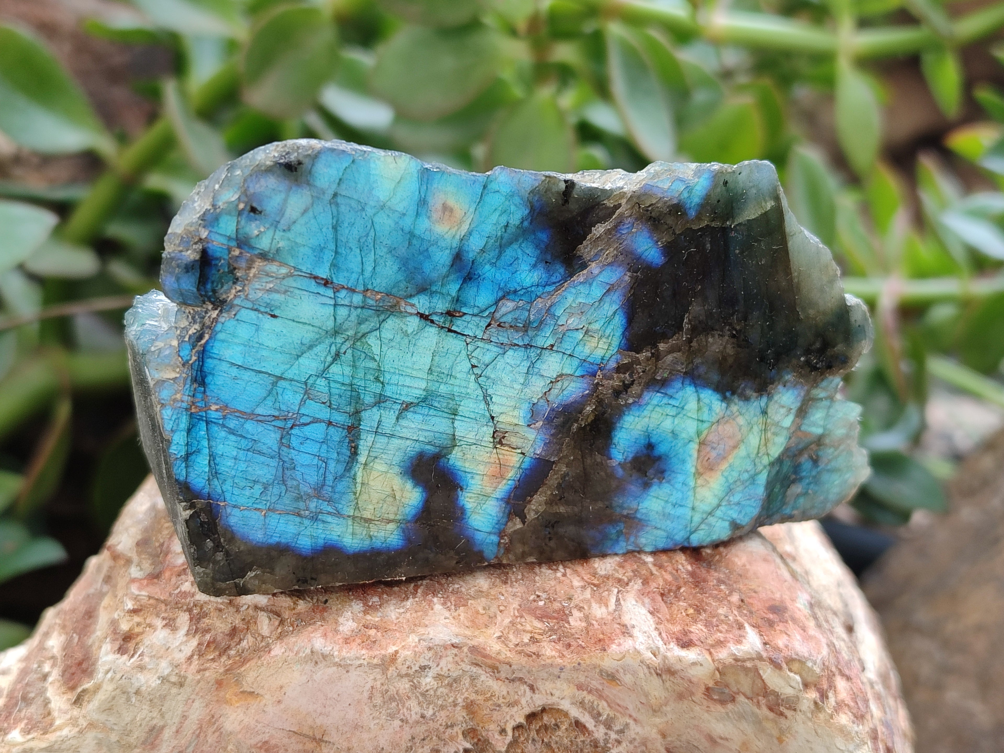 Polished on One Side Labradorite Slices x 12 From Tulear, Madagascar - Toprock Gemstones and Minerals 