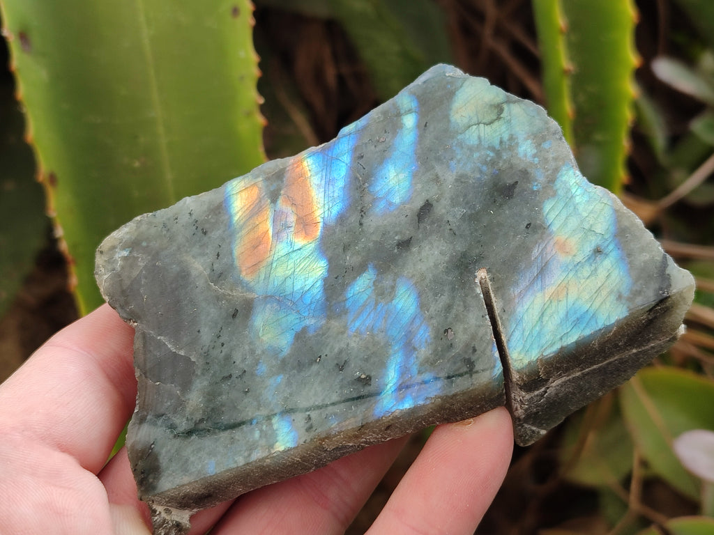 Polished on One Side Labradorite Slices x 12 From Tulear, Madagascar - Toprock Gemstones and Minerals 