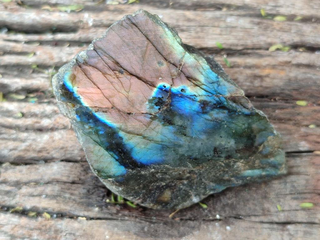 Polished on One Side Labradorite Slices x 12 From Tulear, Madagascar - Toprock Gemstones and Minerals 