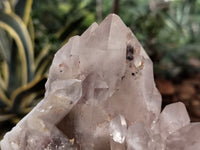 Natural Red Hematoid Quartz Clusters x 5 From Karoi, Zimbabwe - Toprock Gemstones and Minerals 