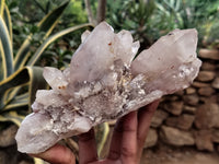 Natural Red Hematoid Quartz Clusters x 5 From Karoi, Zimbabwe - Toprock Gemstones and Minerals 