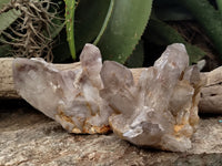 Natural Red Hematoid Quartz Clusters x 5 From Karoi, Zimbabwe - Toprock Gemstones and Minerals 
