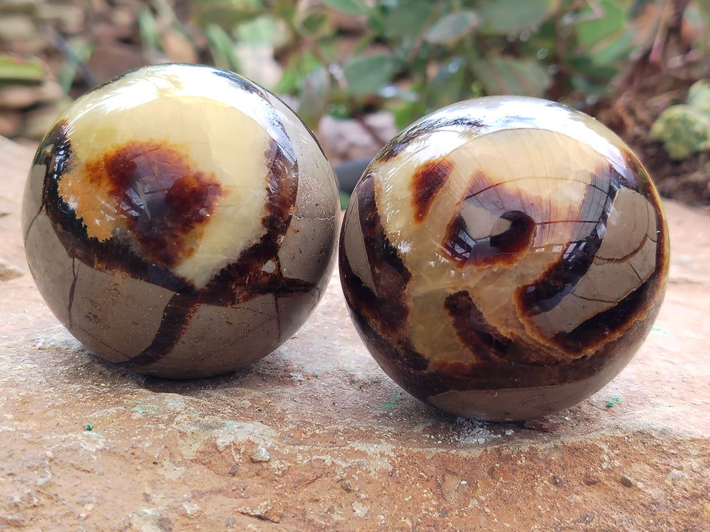 Polished Septerye Spheres x 6 From Mahajanga, Madagascar - Toprock Gemstones and Minerals 