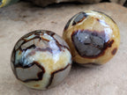 Polished Septerye Spheres x 6 From Mahajanga, Madagascar - Toprock Gemstones and Minerals 