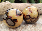 Polished Septerye Spheres x 6 From Mahajanga, Madagascar - Toprock Gemstones and Minerals 