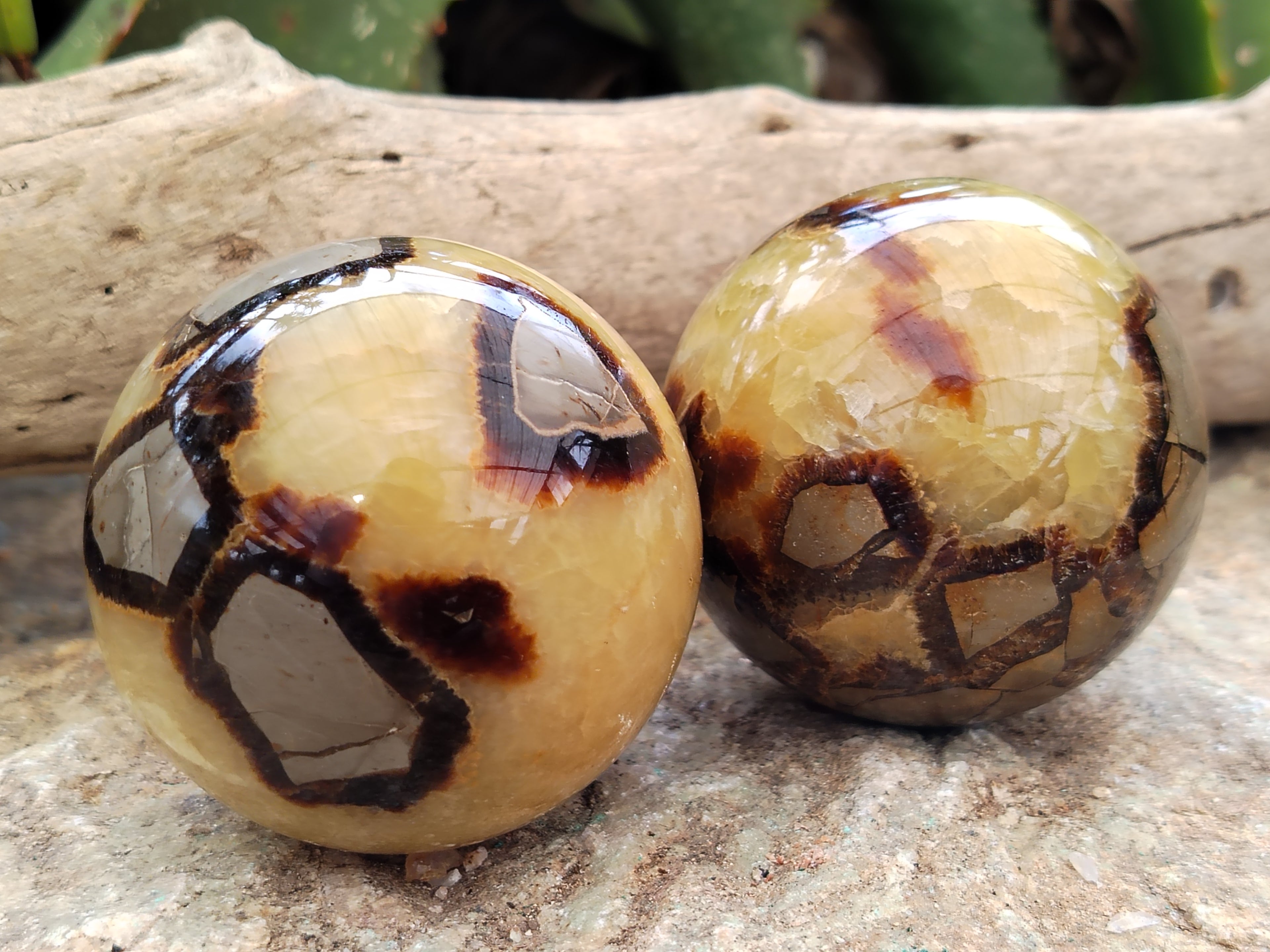 Polished Septerye Spheres x 6 From Mahajanga, Madagascar - Toprock Gemstones and Minerals 