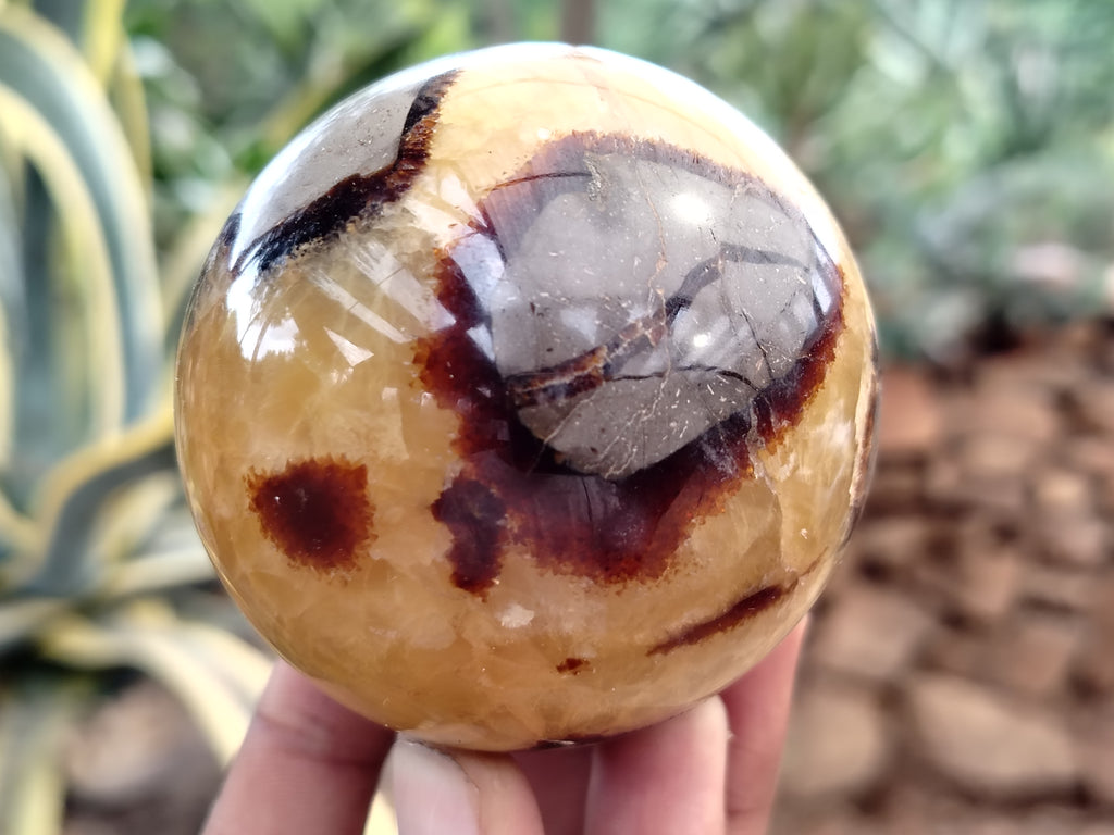 Polished Septerye Spheres x 6 From Mahajanga, Madagascar - Toprock Gemstones and Minerals 