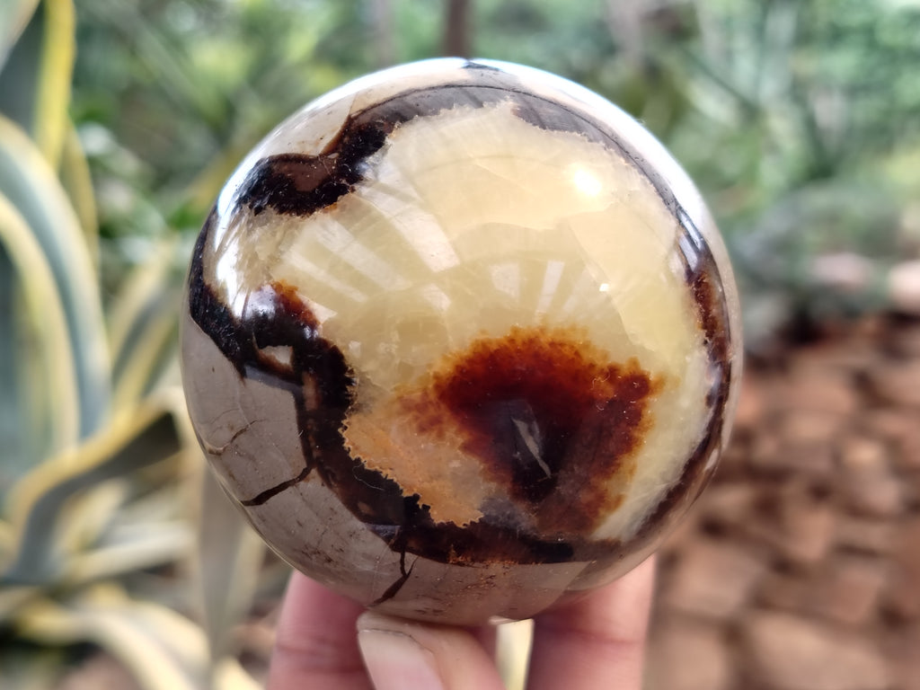 Polished Septerye Spheres x 6 From Mahajanga, Madagascar - Toprock Gemstones and Minerals 