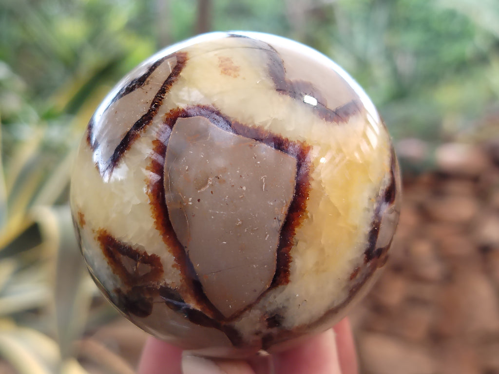 Polished Septerye Spheres x 6 From Mahajanga, Madagascar - Toprock Gemstones and Minerals 
