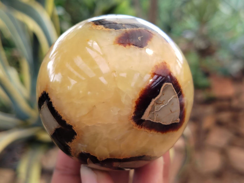 Polished Septerye Spheres x 6 From Mahajanga, Madagascar - Toprock Gemstones and Minerals 