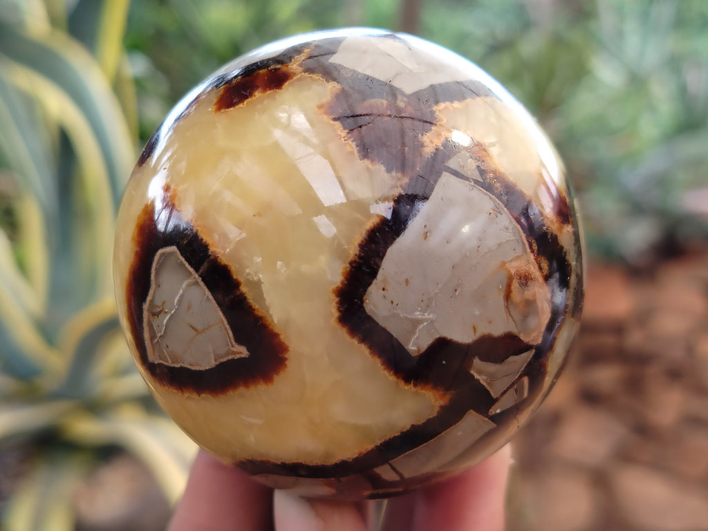 Polished Septerye Spheres x 6 From Mahajanga, Madagascar - Toprock Gemstones and Minerals 