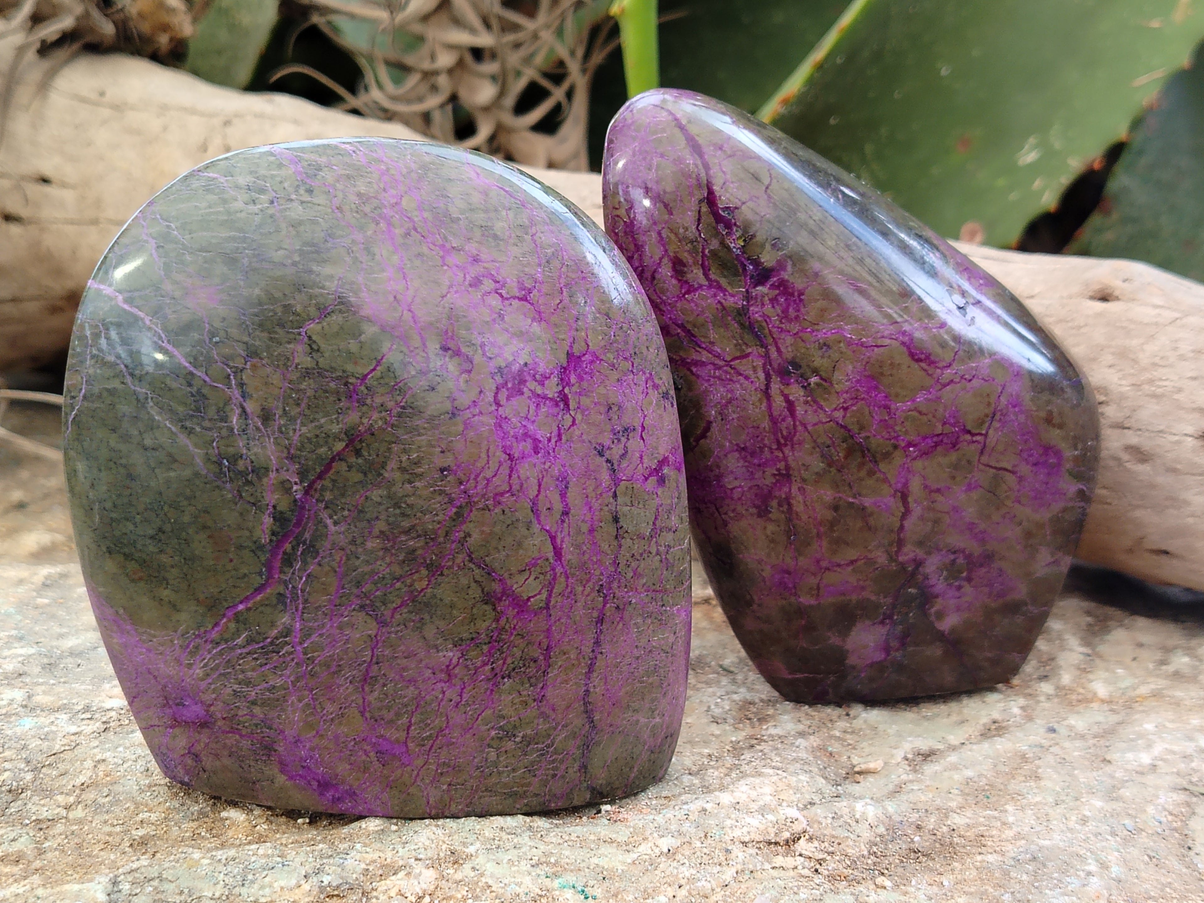 Polished Stichtite Standing Free Forms x 4 From Barberton, South Africa - Toprock Gemstones and Minerals 