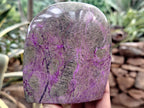Polished Stichtite Standing Free Forms x 4 From Barberton, South Africa - Toprock Gemstones and Minerals 
