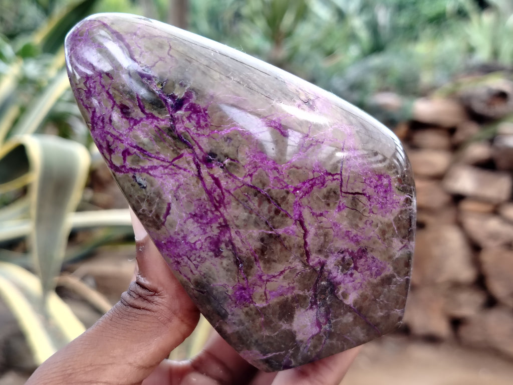 Polished Stichtite Standing Free Forms x 4 From Barberton, South Africa - Toprock Gemstones and Minerals 