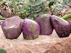 Polished Stichtite Standing Free Forms x 4 From Barberton, South Africa - Toprock Gemstones and Minerals 