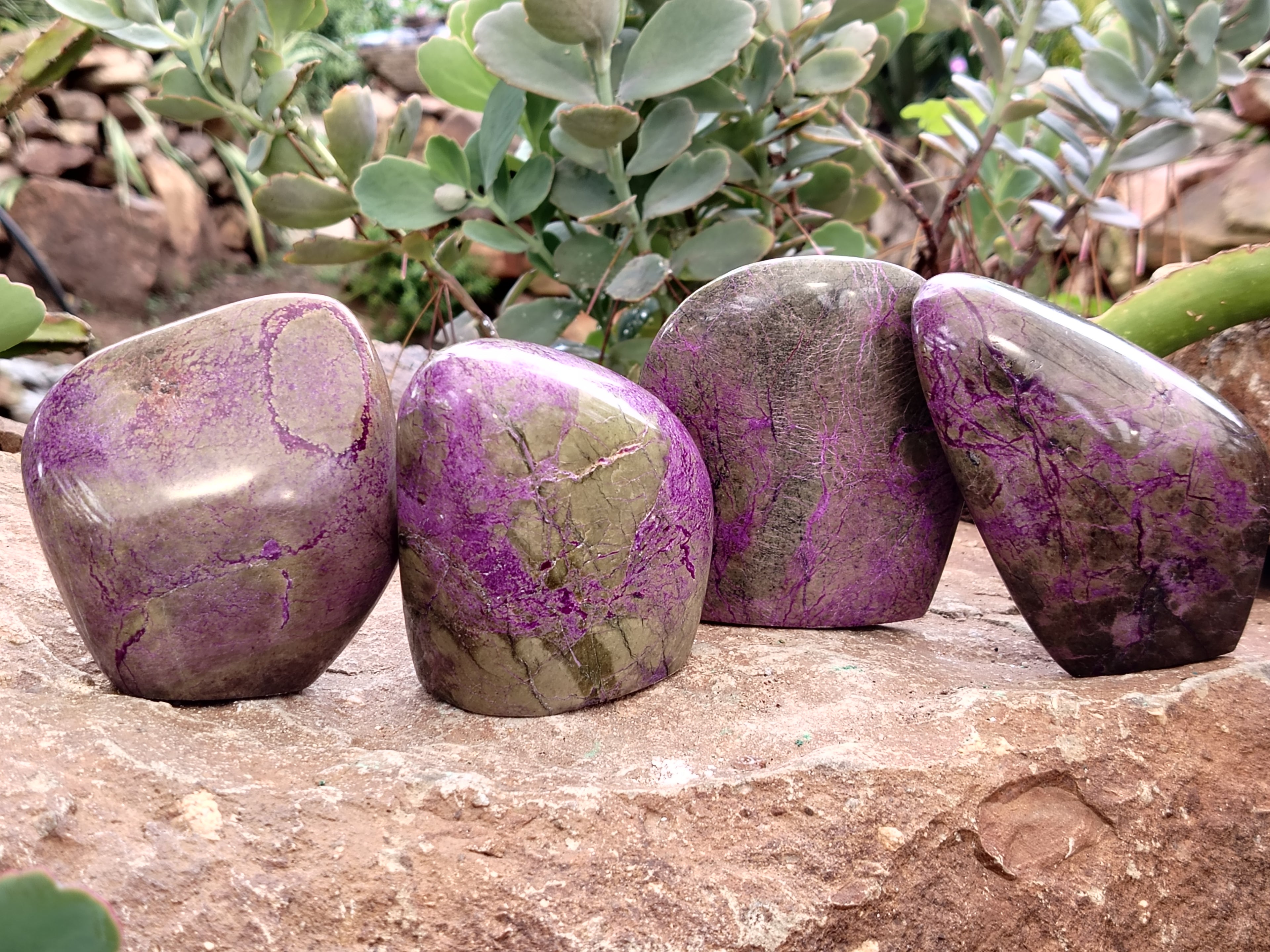 Polished Stichtite Standing Free Forms x 4 From Barberton, South Africa - Toprock Gemstones and Minerals 