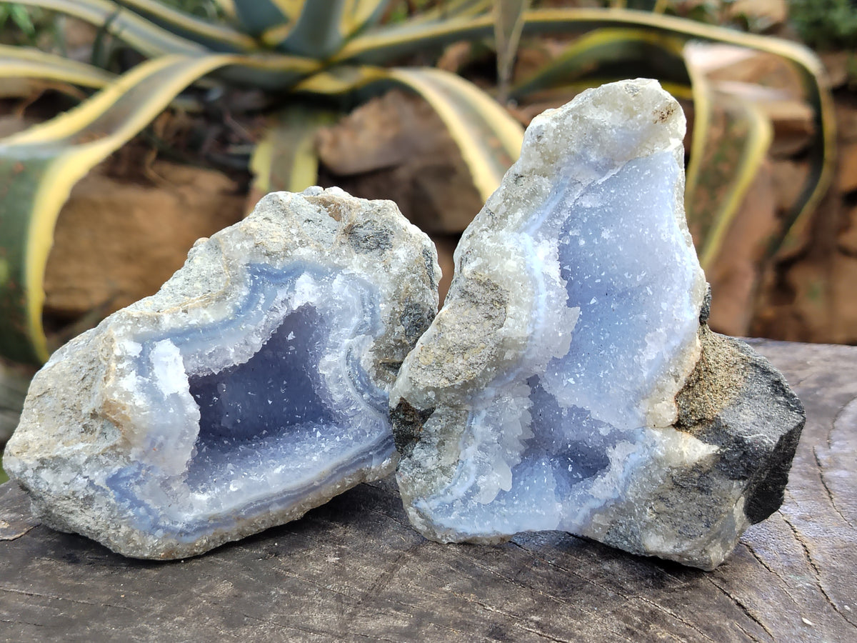 Natural Blue Lace Agate Geode Specimens x 6 From Nsanje, Malawi - Toprock Gemstones and Minerals 