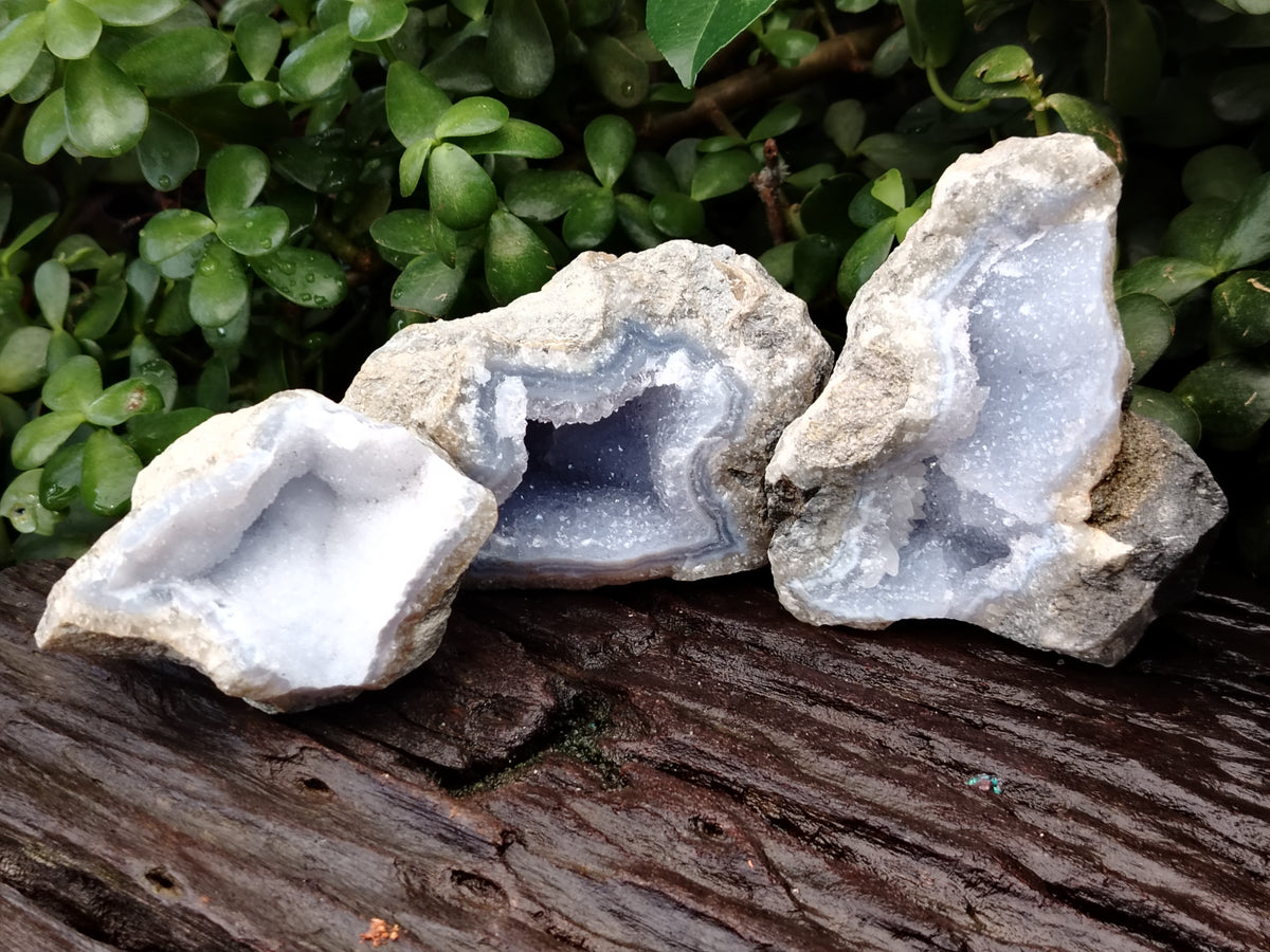 Natural Blue Lace Agate Geode Specimens x 6 From Nsanje, Malawi - Toprock Gemstones and Minerals 