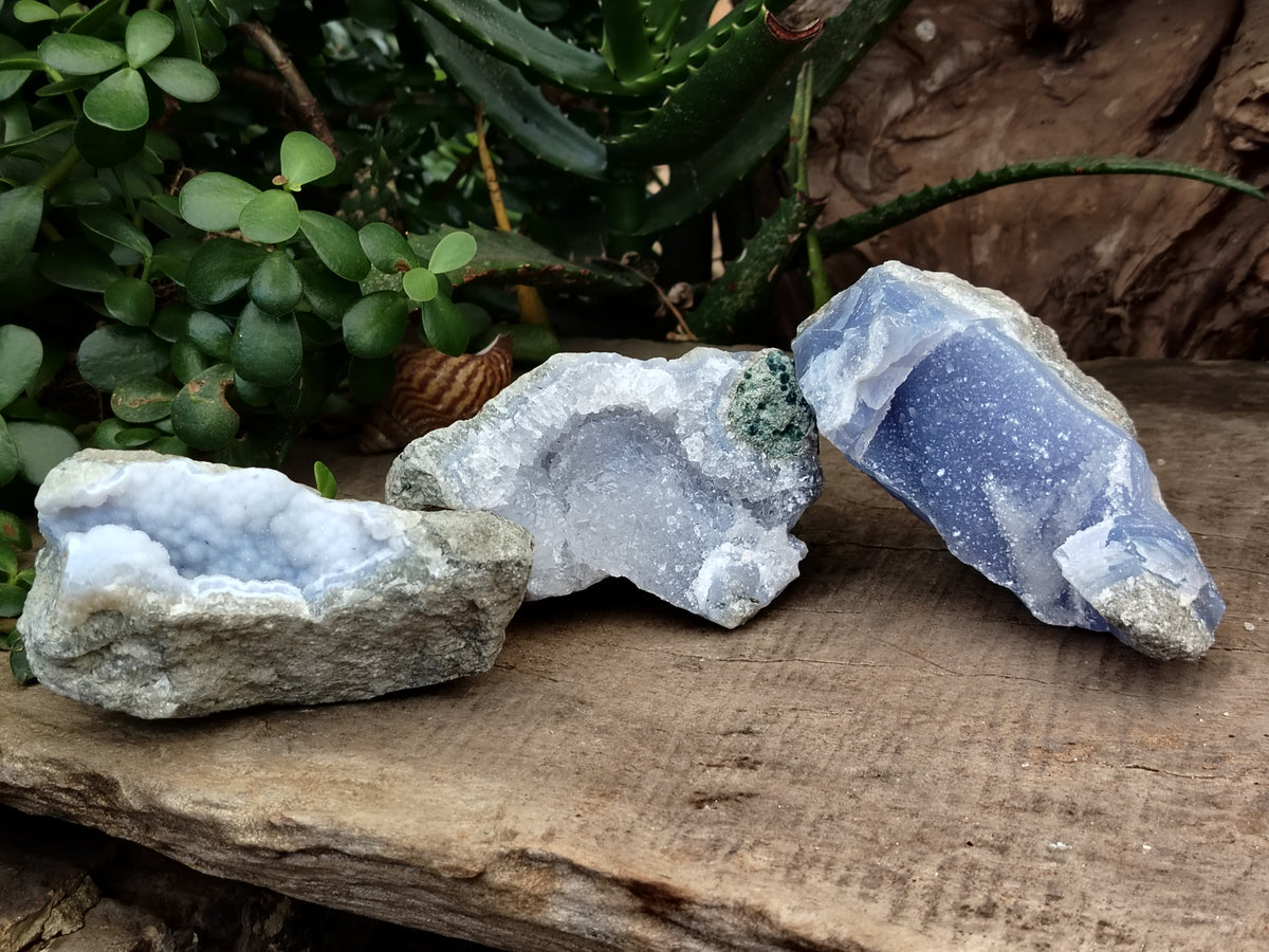 Natural Blue Lace Agate Geode Specimens x 6 From Nsanje, Malawi - Toprock Gemstones and Minerals 