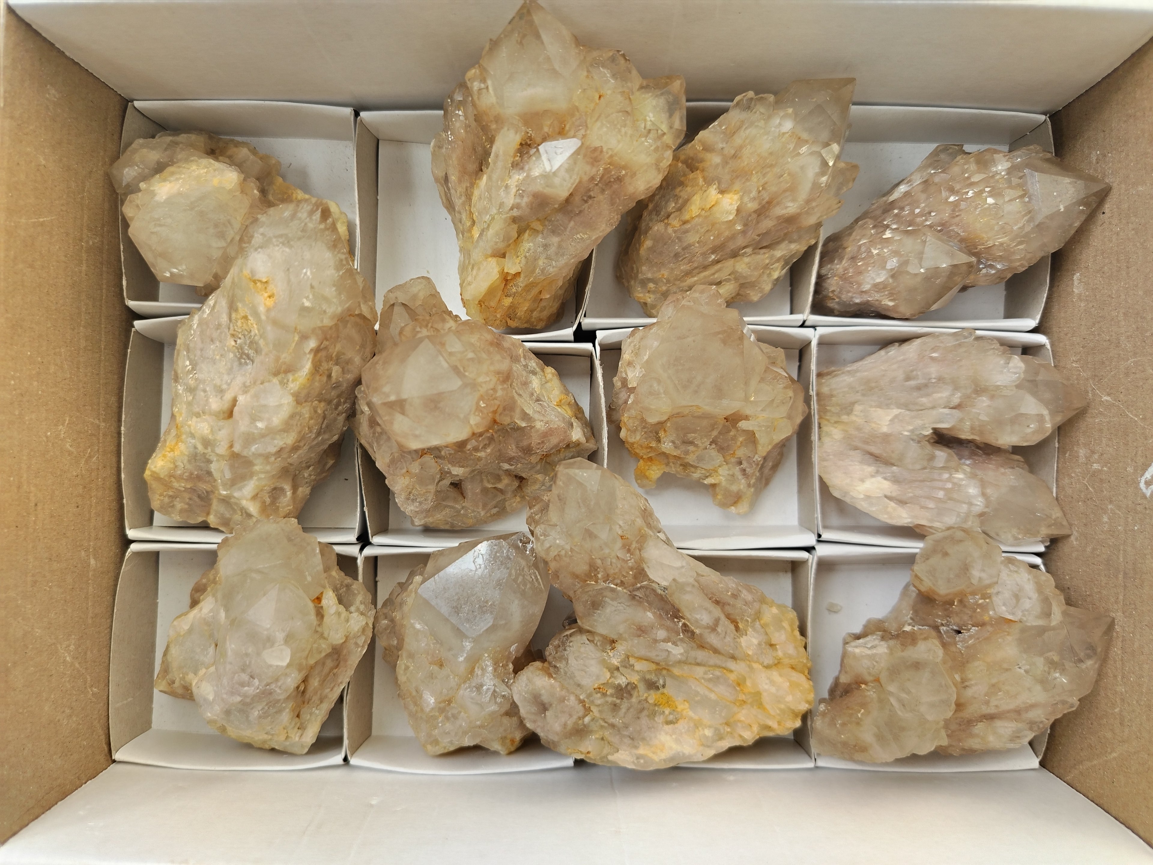 Natural Smokey Phantom Quartz Clusters x 12 From Luena, Congo - Toprock Gemstones and Minerals 