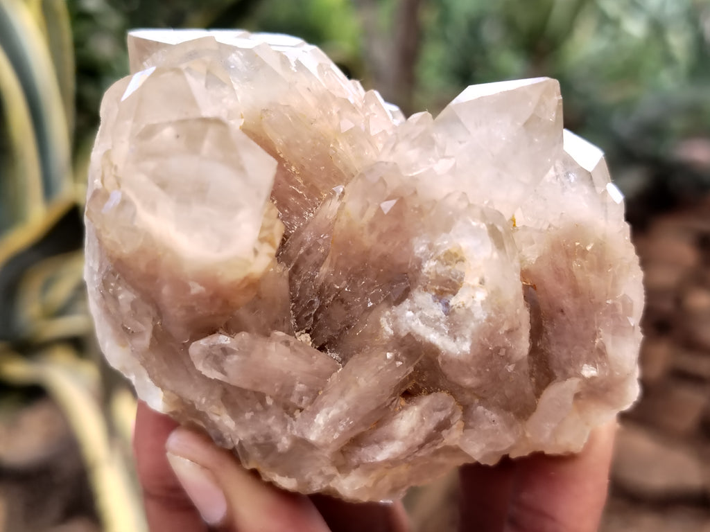 Natural Smokey Phantom Quartz Clusters x 12 From Luena, Congo - Toprock Gemstones and Minerals 