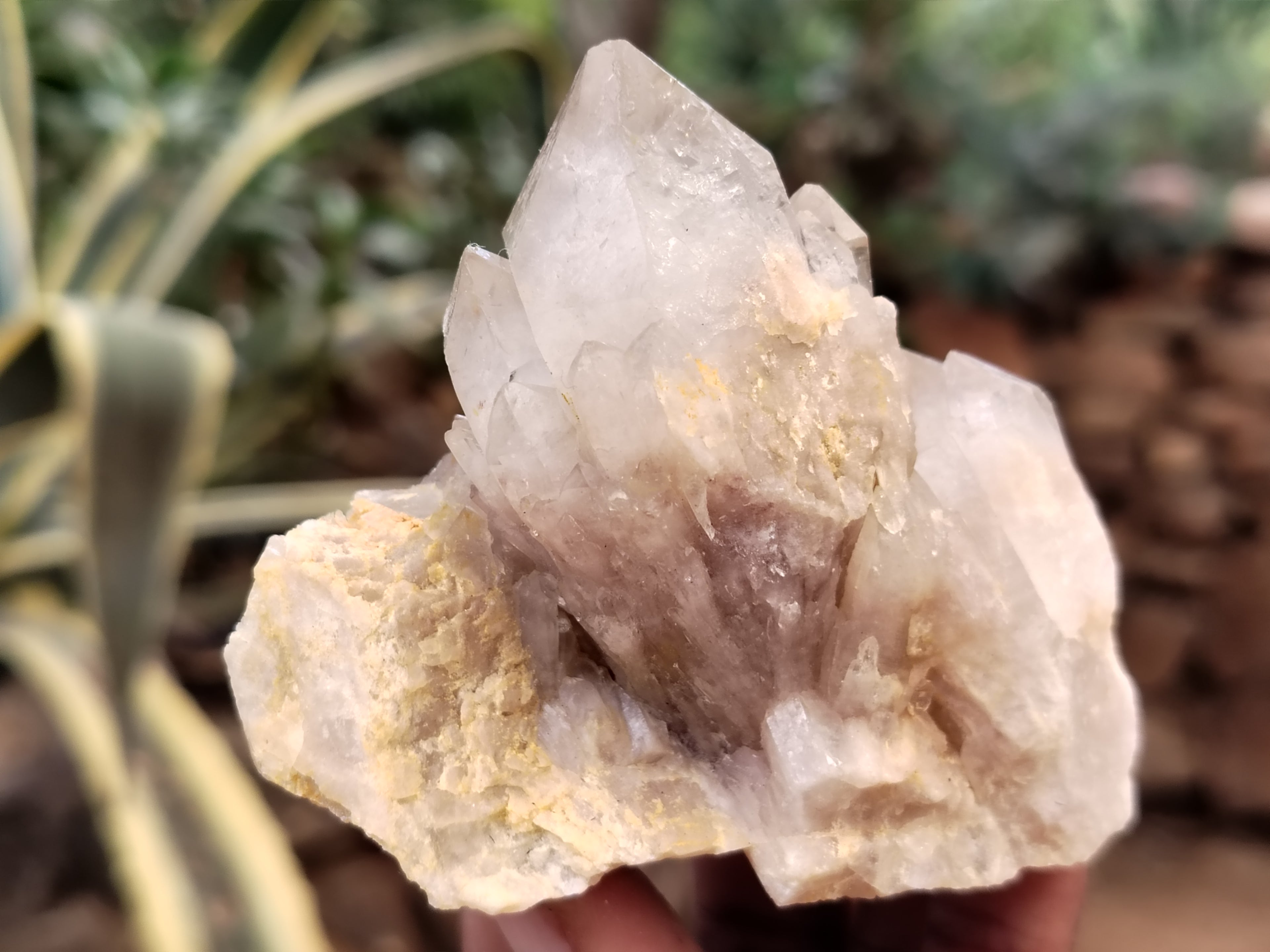 Natural Smokey Phantom Quartz Clusters x 12 From Luena, Congo - Toprock Gemstones and Minerals 