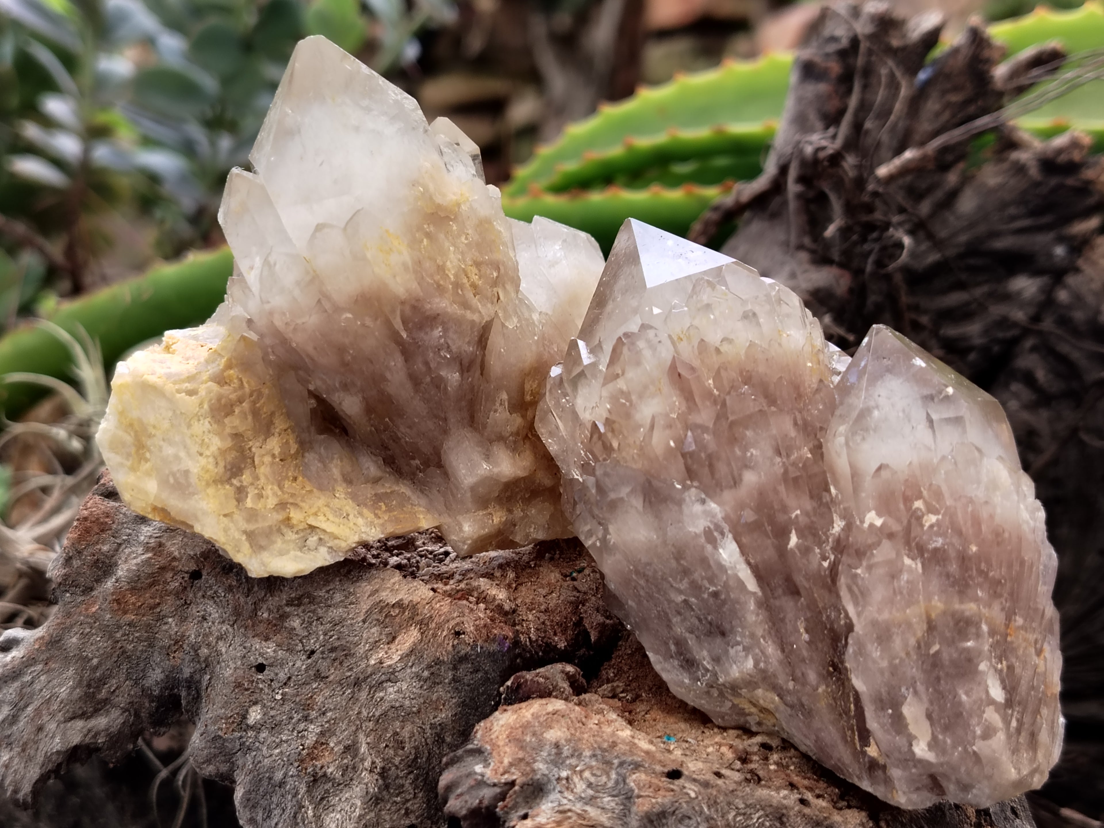 Natural Smokey Phantom Quartz Clusters x 12 From Luena, Congo - Toprock Gemstones and Minerals 