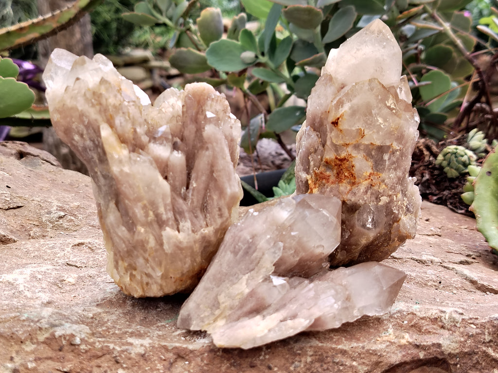 Natural Smokey Phantom Quartz Clusters x 12 From Luena, Congo - Toprock Gemstones and Minerals 