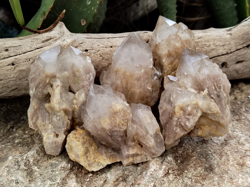 Natural Smokey Phantom Quartz Clusters x 12 From Luena, Congo - Toprock Gemstones and Minerals 