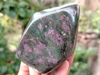 Polished Ruby Corundum In Chrome Verdite Standing Free Forms x 3 From Zimbabwe - Toprock Gemstones and Minerals 