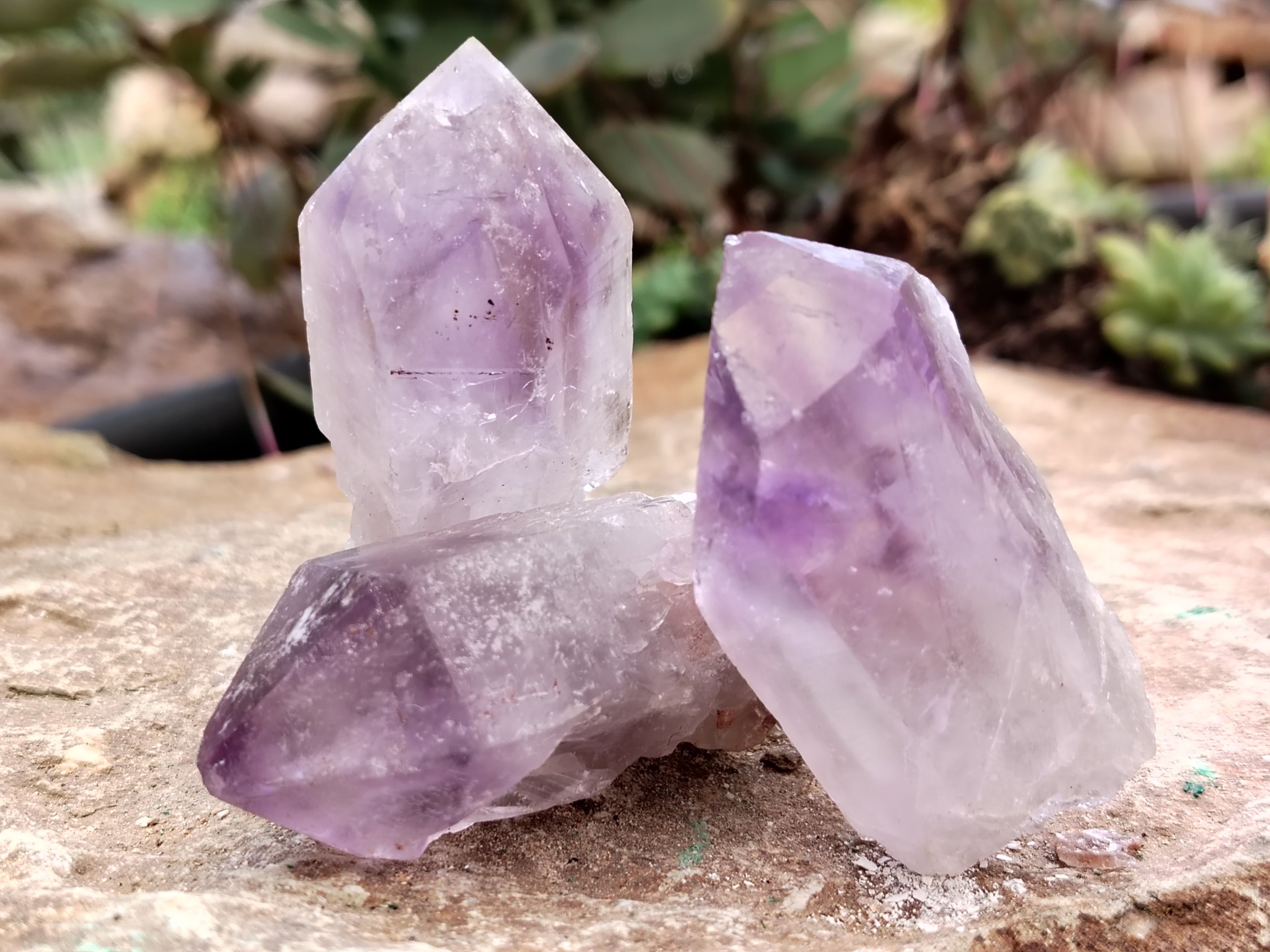 Natural Jacaranda Amethyst Single Quartz Crystals x 35 From Mumbwa, Zambia - Toprock Gemstones and Minerals 