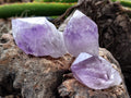Natural Jacaranda Amethyst Single Quartz Crystals x 35 From Mumbwa, Zambia - Toprock Gemstones and Minerals 