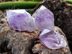 Natural Jacaranda Amethyst Single Quartz Crystals x 35 From Mumbwa, Zambia - Toprock Gemstones and Minerals 