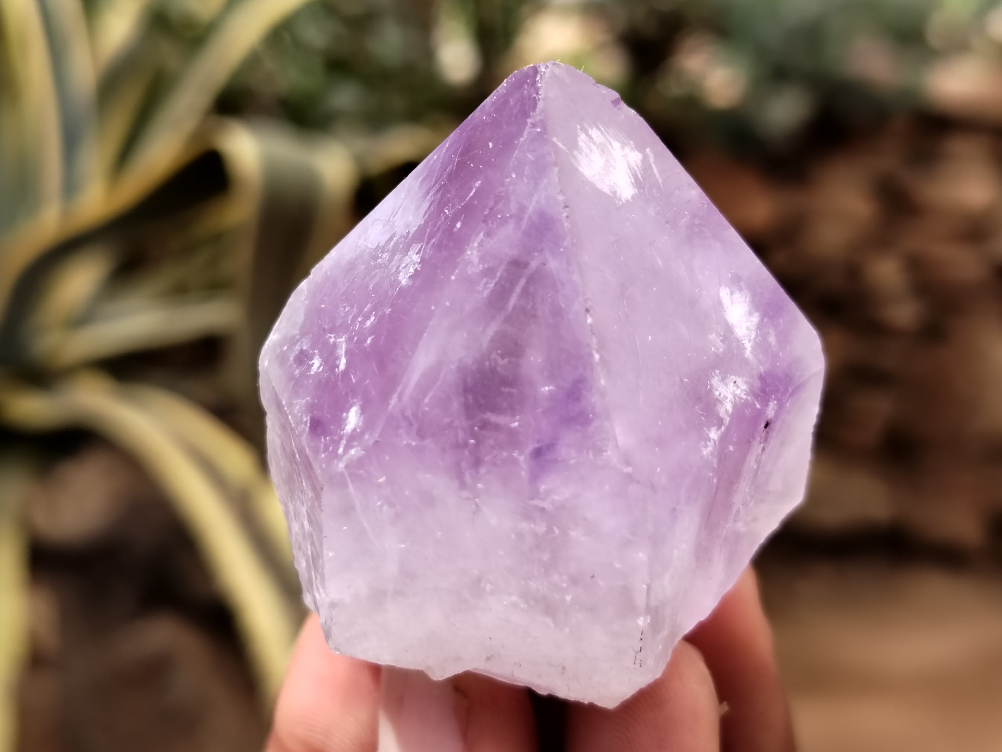 Natural Jacaranda Amethyst Single Quartz Crystals x 35 From Mumbwa, Zambia - Toprock Gemstones and Minerals 
