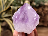 Natural Jacaranda Amethyst Single Quartz Crystals x 35 From Mumbwa, Zambia - Toprock Gemstones and Minerals 