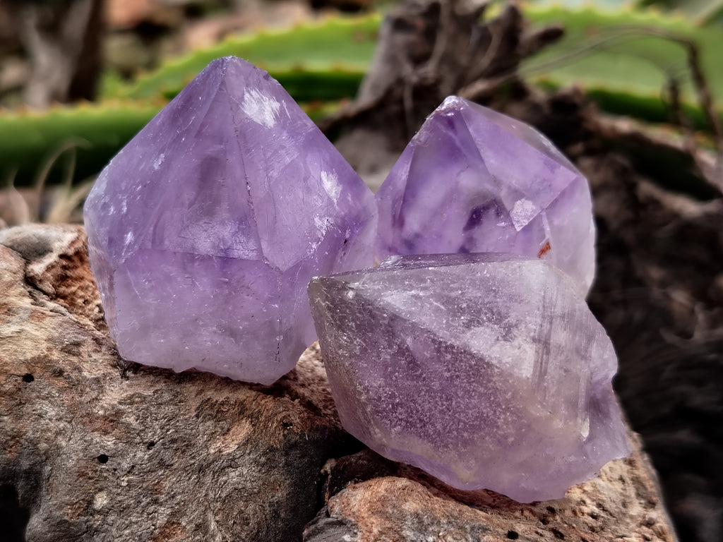 Natural Jacaranda Amethyst Single Quartz Crystals x 35 From Mumbwa, Zambia - Toprock Gemstones and Minerals 