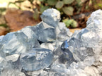 Natural Celestite Geode Specimens x 1 From Sakoany, Madagascar - Toprock Gemstones and Minerals 