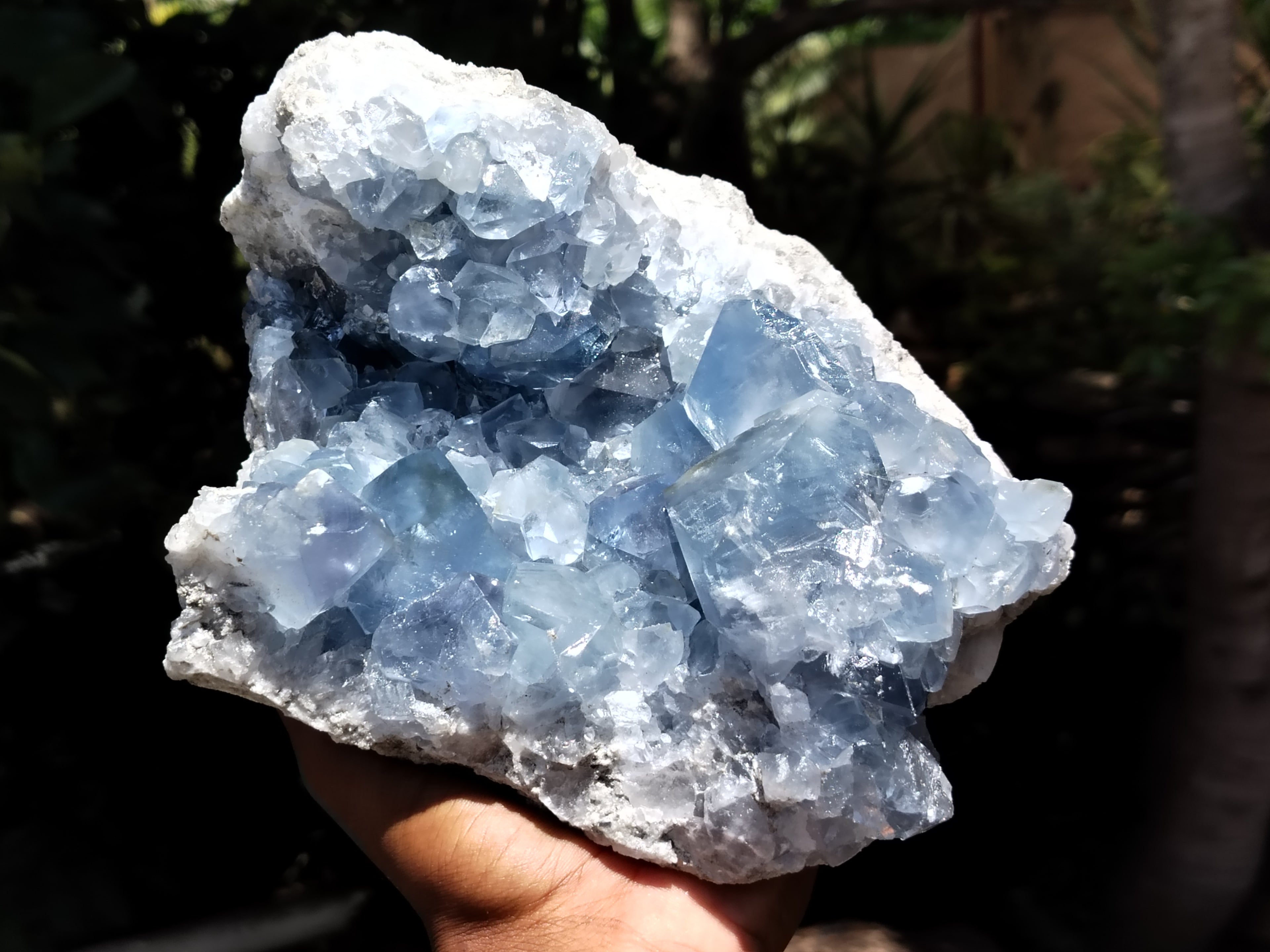 Natural Celestite Geode Specimens x 1 From Sakoany, Madagascar - Toprock Gemstones and Minerals 