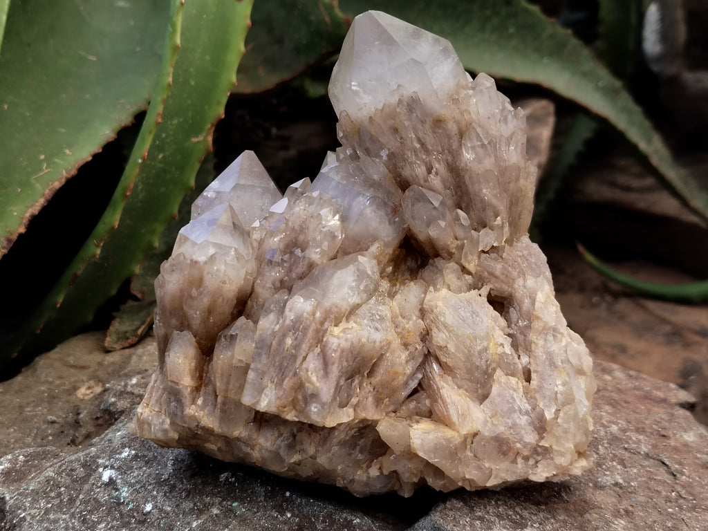 Natural Smokey Phantom Quartz Clusters x 2 From Luena, Congo - Toprock Gemstones and Minerals 