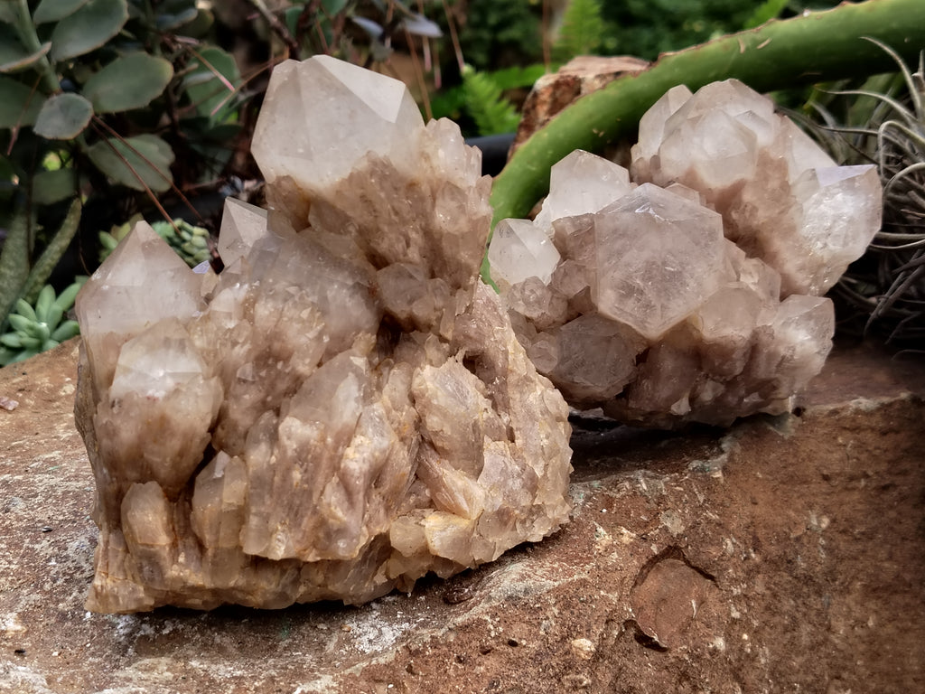Natural Smokey Phantom Quartz Clusters x 2 From Luena, Congo - Toprock Gemstones and Minerals 
