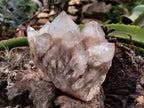 Natural Smokey Phantom Quartz Clusters x 2 From Luena, Congo - Toprock Gemstones and Minerals 
