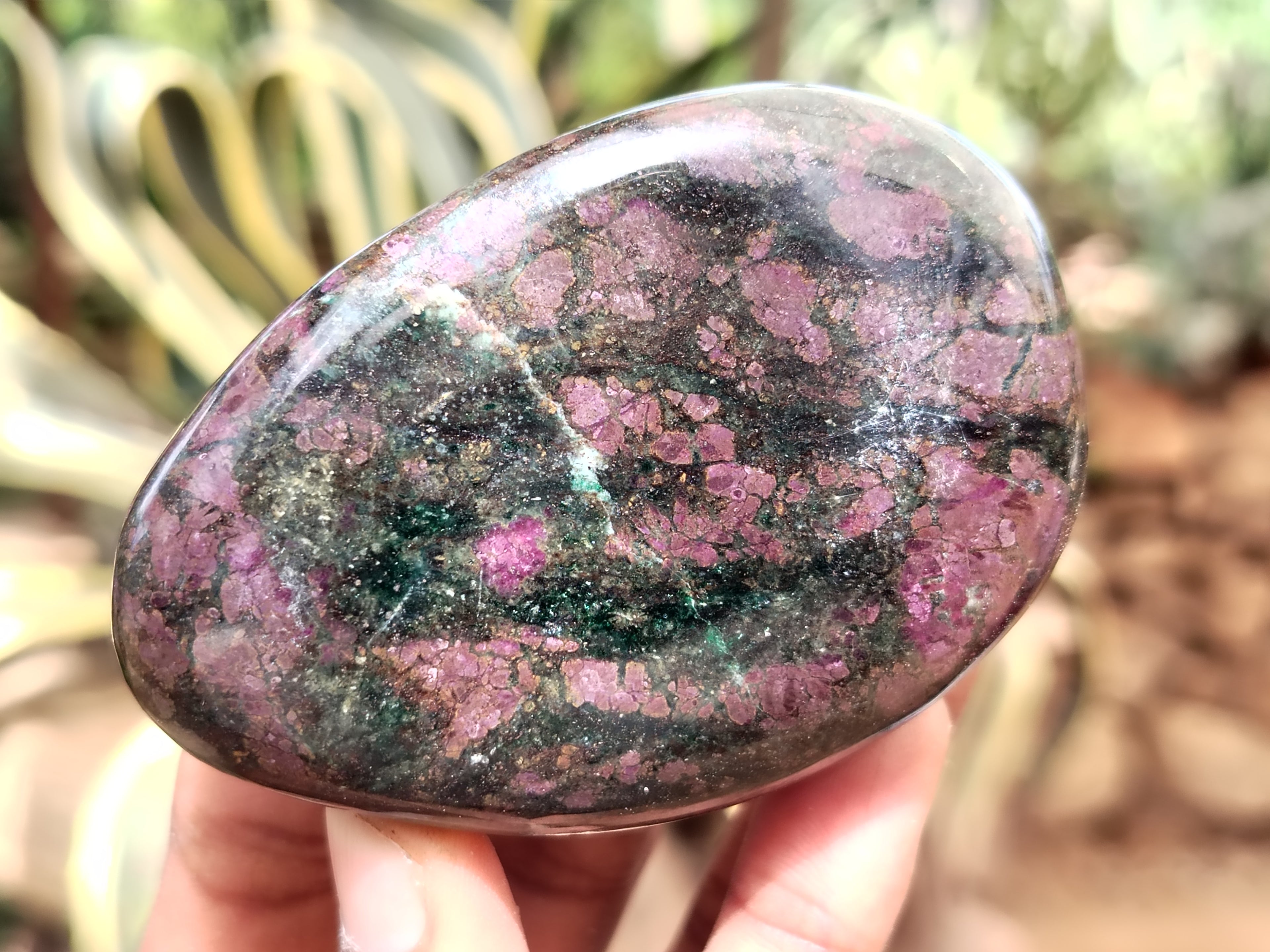 Polished Ruby Corundum In Chrome Verdite Free Forms x 6 From Zimbabwe - Toprock Gemstones and Minerals 