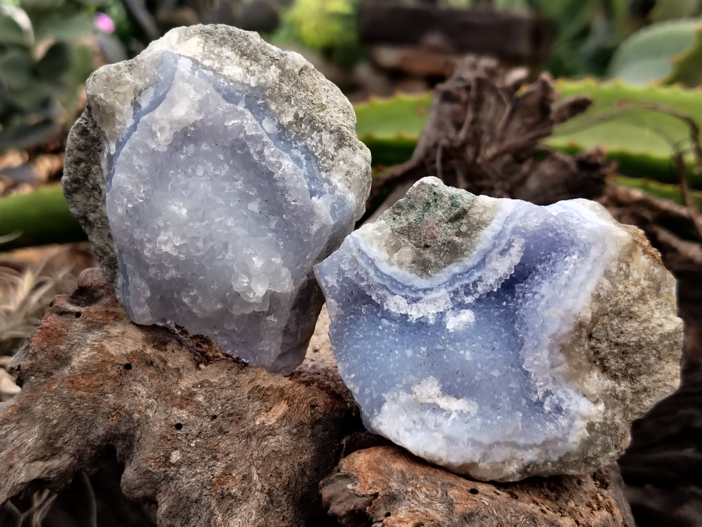 Natural Blue Lace Agate Geode Specimens x 12 From Nsanje, Malawi - Toprock Gemstones and Minerals 