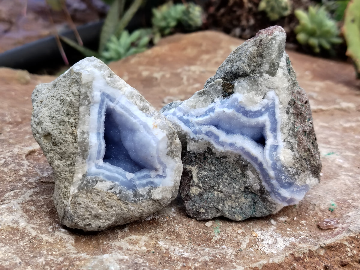 Natural Blue Lace Agate Geode Specimens x 12 From Nsanje, Malawi - Toprock Gemstones and Minerals 